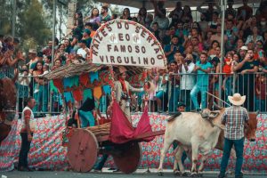 Agricultor que retratou história de Lampião vence a 12ª edição do Festival do Carro de Boi